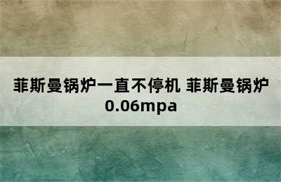 菲斯曼锅炉一直不停机 菲斯曼锅炉0.06mpa